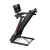 Bieżnia Treningowa Runner DS Fitness AppReady DS-3308R